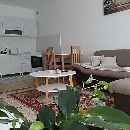 Renta Apartment